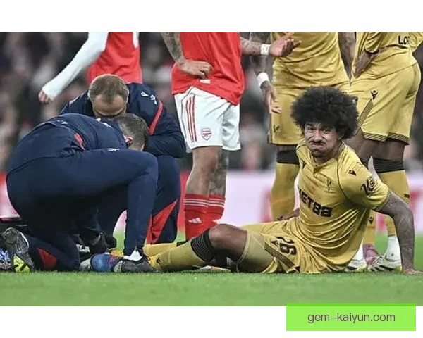 克里斯·理查兹在英超赛季中崭露头角，防守表现亮眼